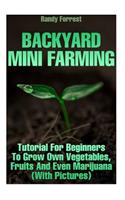 Backyard Mini Farming