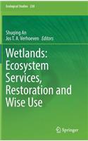 Wetlands: Ecosystem Services, Restoration and Wise Use