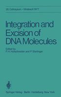 Integration and Excision of DNA Molecules