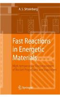 Fast Reactions in Energetic Materials
