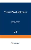 Visual Psychophysics