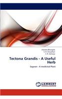 Tectona Grandis - A Useful Herb