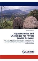 Opportunities and Challenges for Private Service Delivery: (English)