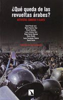 Â¿Que queda de las revueltas arabes?: Activistas, cambios y claves (Spanish Edition)
