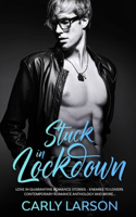 Stuck in Lockdown: Love in Quarantine Romance Stories - Enemies to Lovers Contemporary Romance Anthology and More...