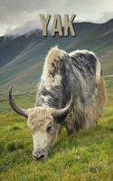 Yak: Fun Facts and Amazing Photos of Animals in Nature