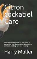 Citron cockatiel Care