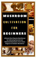 Mushroom Cultivation for Beginners