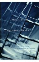 Wittgenstein's Ladder
