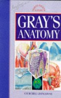 Anatomy