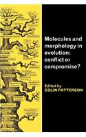 Molecules and Morphology in Evolution