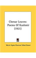 Chenar Leaves