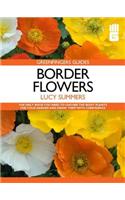 Border Flowers