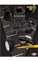 Black Everywhere: (Lightning Bolt Books: Colors Everywhere?)