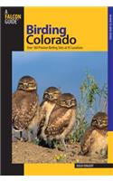 Birding Colorado