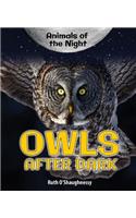 Owls After Dark