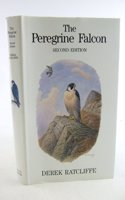 Peregrine Falcon