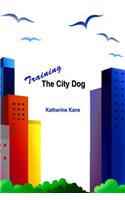 Training The City Dog