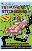 Adventures of the Posse of Little Horses