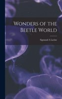 Wonders of the Beetle World