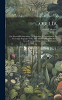 Lobelia