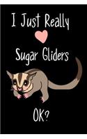 I Just Really Love Sugar Gliders OK?