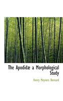 The Apodid a Morphological Study