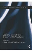 Capitalist Diversity and Diversity within Capitalism