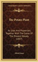 The Potato Plant