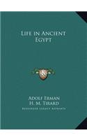 Life in Ancient Egypt