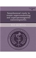 Sonochemical Route to Create Superconducting and Superparamagnetic Nanocomposites