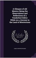 A Glimpse of old Mexico; Being the Observations and Reflections of a Tenderfoot Editor While on a Journey in the Land of Montezuma