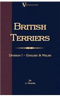 English and Welsh Terriers