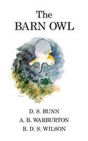 The Barn Owl