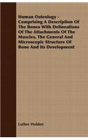 Human Osteology - Comprising a Description of the Bones with Delineations of the Attachments of the Muscles, the General and Microscopic Structure of Bone and Its Development