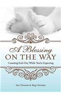 A Blessing on the Way: Counting Each Day While You're Expecting