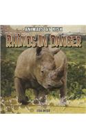 Rhinos in Danger