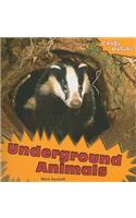 Underground Animals