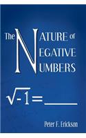 The Nature of Negative Numbers