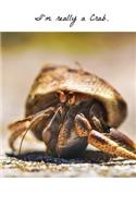 I'm really a crab journal