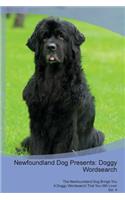 Newfoundland Dog Presents: Doggy Wordsearch the Newfoundland Dog Brings You a Doggy Wordsearch That You Will Love! Vol. 4: Doggy Wordsearch the Newfoundland Dog Brings You a Doggy Wordsearch That You Will Love! Vol. 4