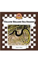 Yellow-Bellied Sea Snakes: (Snakes)