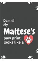 Damn!! my Maltese's paw print looks like a