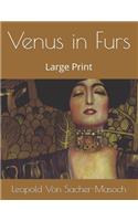 Venus in Furs: Large Print