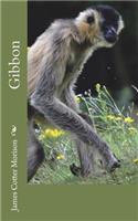 Gibbon