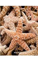 Note Book: Starfishes on a Beach, Writing Book, Wide Lined, 200 Paged 7.44 X 9.69