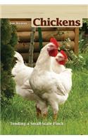 Chickens