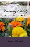 Training-Dog