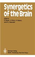 Synergetics of the Brain