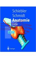 Anatomie